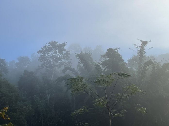 เสื้อหนาวต้องเข้า! กรมอุตุฯประกาศ “23 ต.ค.68” ไทยเข้าสู่ฤดูหนาวแล้ว