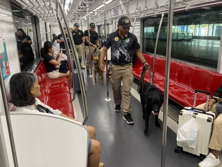 ปลอดภัยไม่แผ่ว