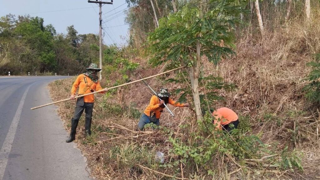 กรมทางหลวงชนบท ป้องกันหมอกควัน กำจัดวัชพืช 2 ข้างทาง