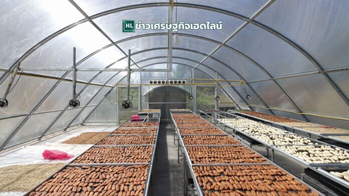 agricultural processing