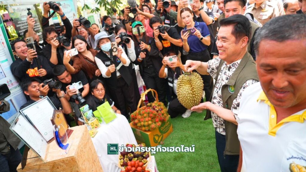 durian 4 no policy