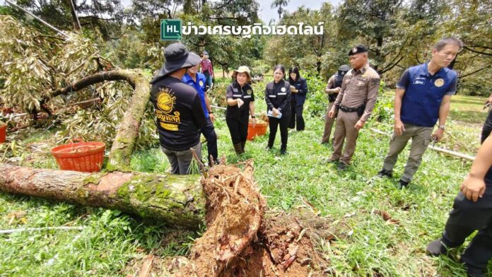 durian chantaburi storm hit