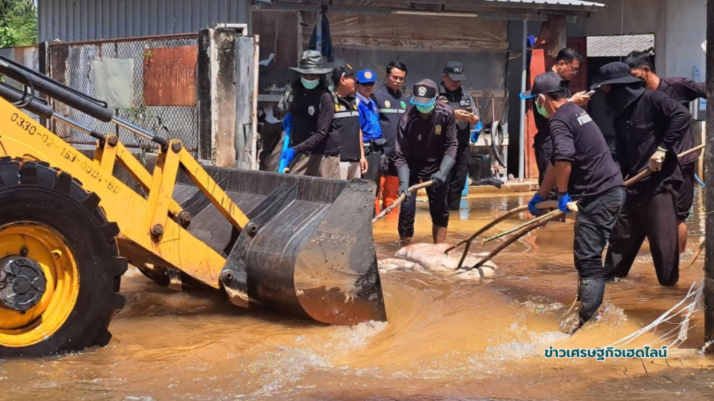 dld moves pig carcasses