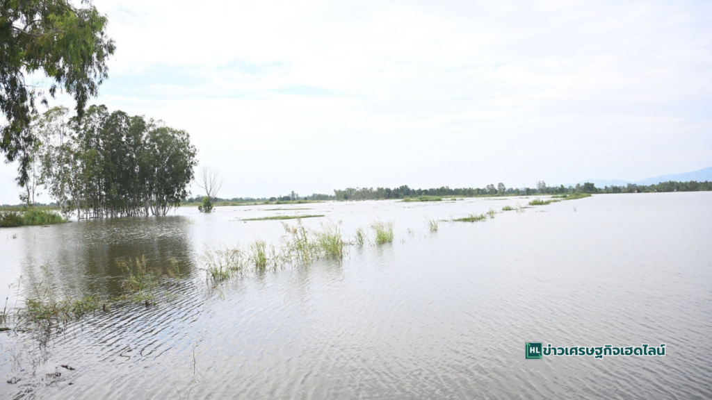 sukhothai water management project